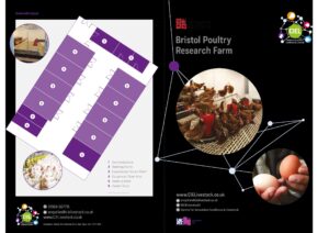 Bristol Poultry Research Farm