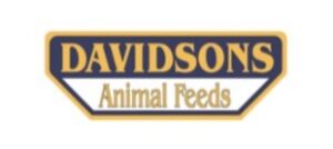 Davidsons Logo larger