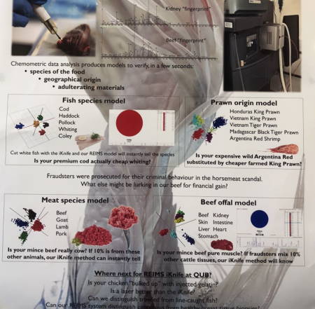 Meat Speciation | QUB